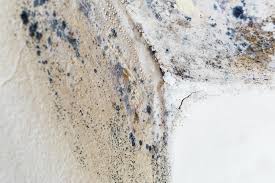 Best Residential Mold Inspection & Testing  in North Bethesda, MD